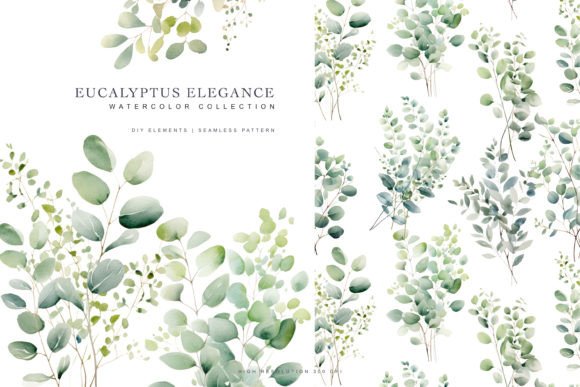 Download Watercolor Eucalyptus Clipart - Eucalyptus clipart Collection
