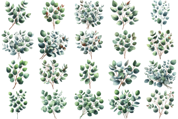 Download 20 Watercolor Eucalyptus Clipart Bundle - Eucalyptus clipart Collection