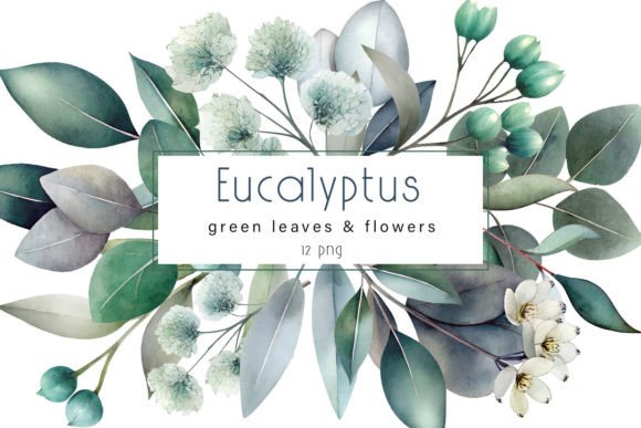 Download Eucalyptus Clipart. Watercolor Greenery - Eucalyptus clipart Collection