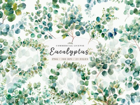 Download Eucalyptus Bundle, Eucalyptus Clipart - Eucalyptus clipart Collection